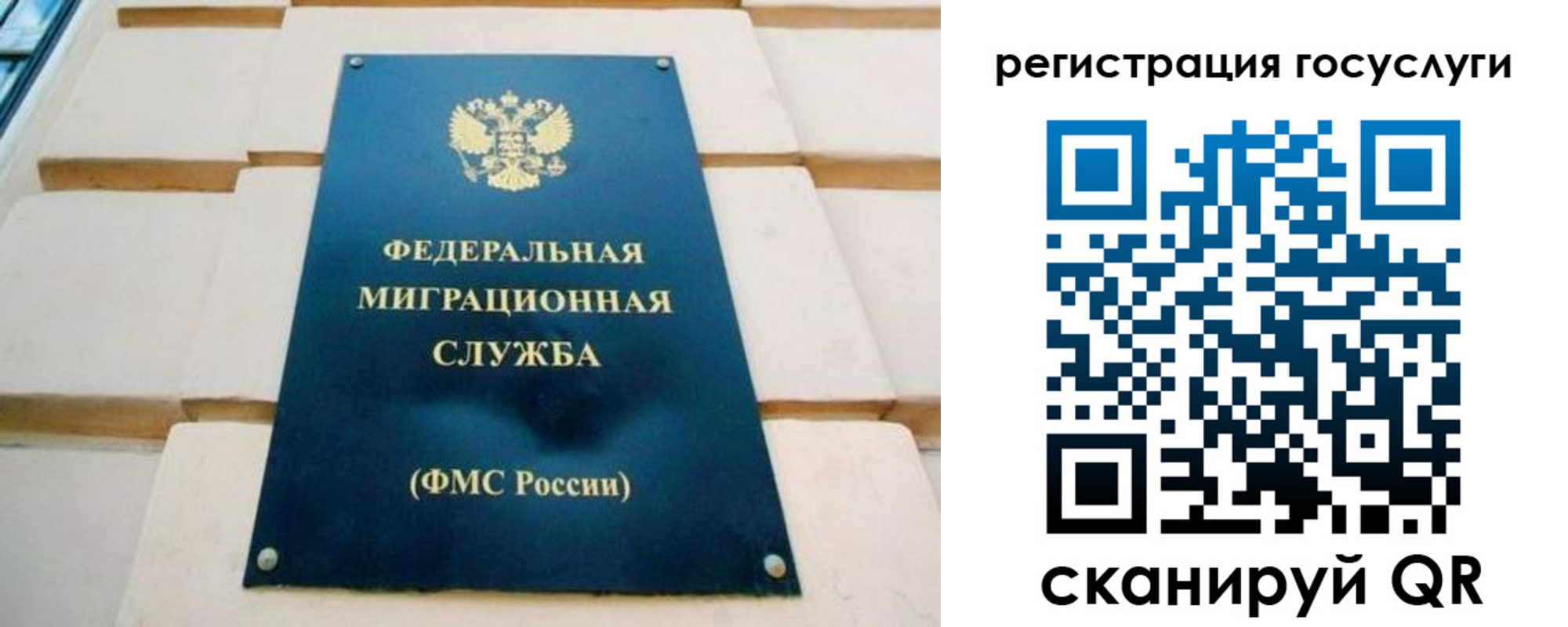 временная регистрация в Кольчугино